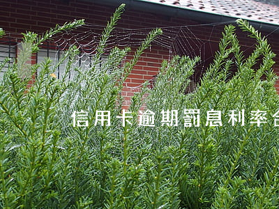 信用卡逾期罰息利率合法嗎