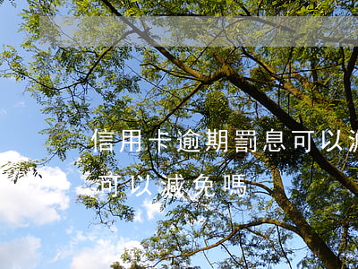 信用卡逾期罰息可以減免嗎(銀行信用卡罰息可以減免嗎)
