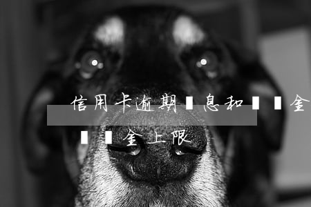 信用卡逾期罰息和滯納金超過利息(罰款逾期滯納金上限)