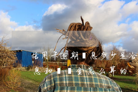 信用卡逾期罰息多少是合法的(信用卡逾期罰息和違約金怎么算的)