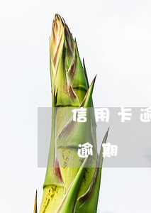 信用卡逾期罰息央行規(guī)定(信用卡逾期罰息多少)