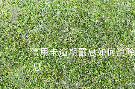 信用卡逾期罰息如何消除(信用卡逾期怎么罰息)