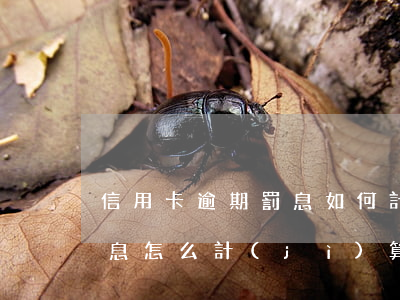 信用卡逾期罰息如何計(jì)算器(逾期罰息怎么計(jì)算)