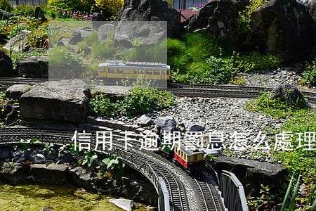 信用卡逾期罰息怎么處理