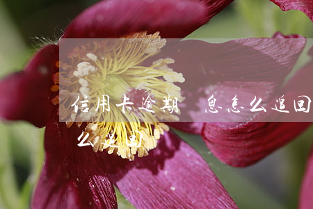 信用卡逾期罰息怎么追回(信用卡逾期罰息怎么追回)