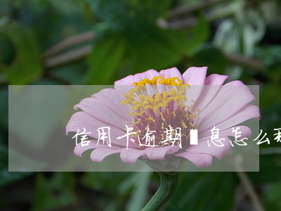 信用卡逾期罰息怎么那么高(信用卡 逾期 罰息)