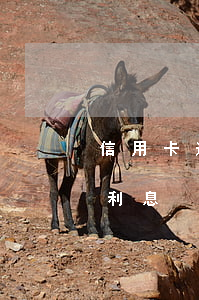 信用卡逾期罰息新規(guī)(信用卡 逾期利息)