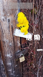 信用卡逾期罰息會一直有嗎(信用卡逾期罰息會一直有嗎)