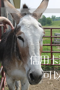 信用卡逾期罰息能免掉嗎(為什么信用卡逾期還可以有減免)