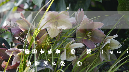 信用卡逾期罰息計算規(guī)則(信用卡逾期怎么免罰息)
