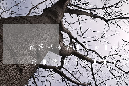 信用卡逾期罰息超過央行規(guī)定(央行對信用卡的滯納金和逾期利息是怎樣規(guī)定的)