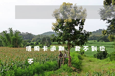 信用卡逾期罰款不到位(辦信用卡有逾期記錄不給過)