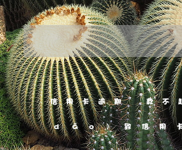 信用卡逾期罰款不超過(因受到刑事處罰導(dǎo)致信用卡逾期)