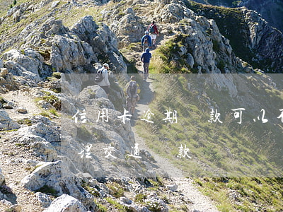 信用卡逾期罰款可以不交嗎(用信用卡可以處理交通罰款嗎)