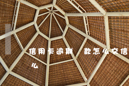 信用卡逾期罰款怎么交(信用卡被罰違約金怎么辦)