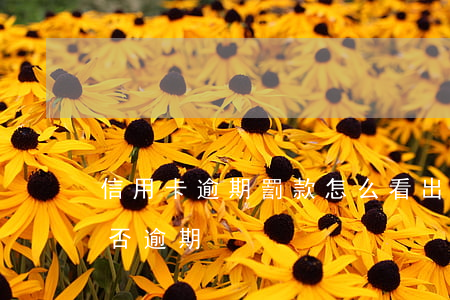 信用卡逾期罰款怎么看出來(怎么看信用卡是否逾期)