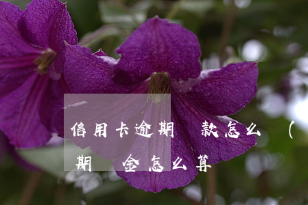 信用卡逾期罰款怎么計(jì)算-銀行逾期罰金怎么算