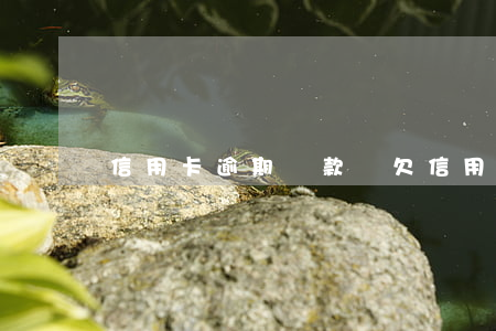 信用卡逾期罰款沒(欠信用卡逾期會被拘留嗎)