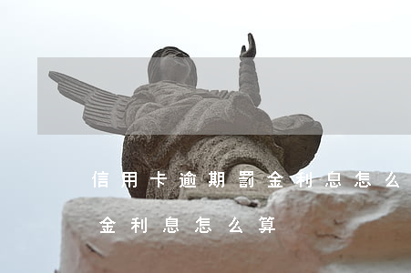 信用卡逾期罰金利息怎么算的（信用卡逾期罰金利息怎么算）