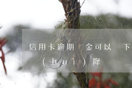 信用卡逾期罰金可以減下來嗎(逾期了信用卡會(huì)降額嗎)