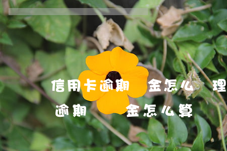 信用卡逾期罰金怎么處理(2021年信用卡逾期違約金怎么算)