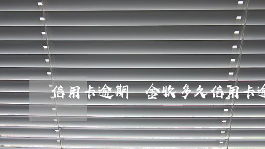 信用卡逾期罰金收多久(信用卡 逾期 幾天)