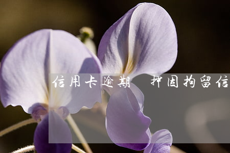 信用卡逾期羈押 因拘留信用卡逾期