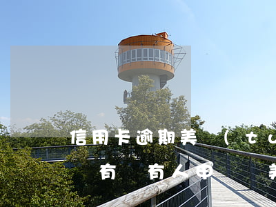 信用卡逾期美團(tuán)信用卡能不能辦(有沒有人申請過美團(tuán)信用卡)