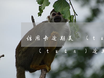 信用卡逾期美團(tuán)能出額度嗎(美團(tuán)逾期會(huì)影響信用卡嗎)