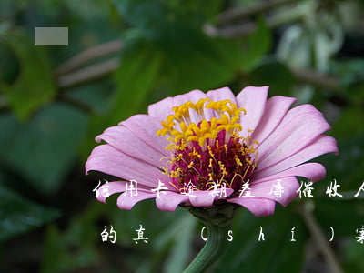 信用卡逾期羞辱催收人員(信用卡逾期被催收的真實(shí)案例)