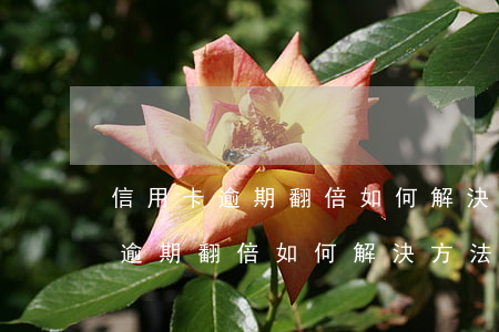 信用卡逾期翻倍如何解決方法最快-信用卡逾期翻倍如何解決方法最快