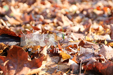 信用卡逾期翻倍如何解決的法律(2021年對于信用卡逾期的處理)