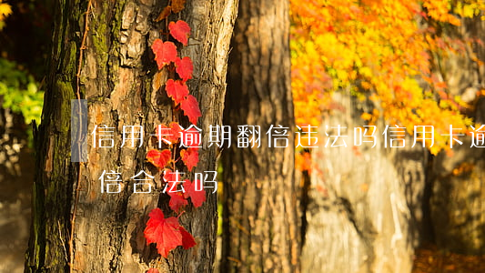 信用卡逾期翻倍违法吗(信用卡逾期六年翻五倍合法吗)