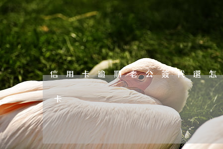 信用卡逾期老公簽代還(怎么代還逾期的信用卡)