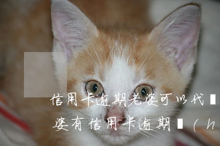 信用卡逾期老婆可以代協(xié)商嗎(老婆有信用卡逾期會(huì)影響我的貸款嗎)