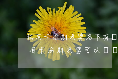 信用卡逾期老婆名下有車咋辦(老公是銀行信用卡逾期,老婆可以車貸)