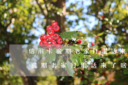 信用卡逾期老家打電話來了啥情況-信用卡逾期老家打電話來了啥情況啊