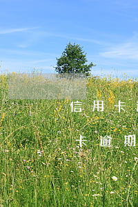 信用卡逾期老家收到信(接到电话说朋友信用卡逾期)