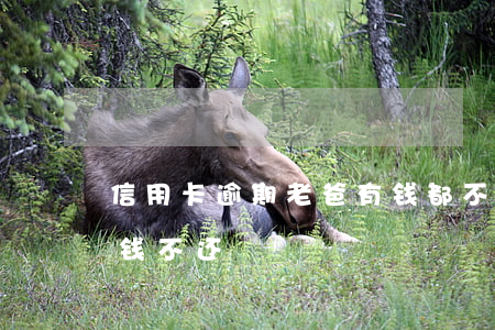 信用卡逾期老爸有钱都不帮(爸爸的信用卡欠钱不还)