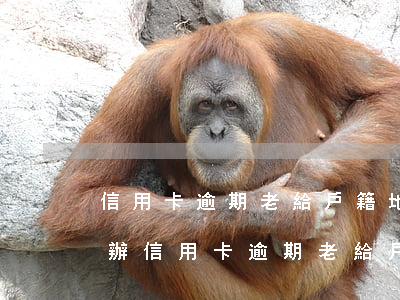 信用卡逾期老給戶籍地發(fā)郵件怎么辦（信用卡逾期老給戶籍地發(fā)郵件）
