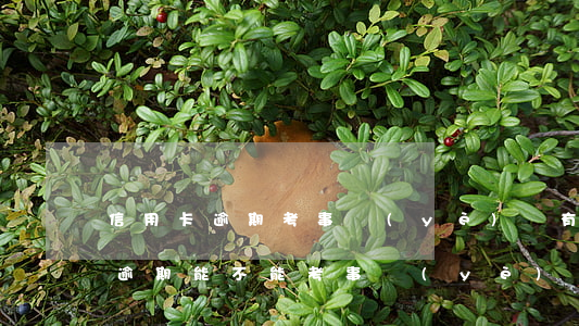 信用卡逾期考事業(yè)編有影響嗎(征信逾期能不能考事業(yè)編制)