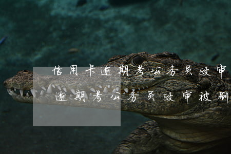 信用卡逾期考公务员政审被刷的吗-信用卡逾期考公务员政审被刷的吗有影响吗
