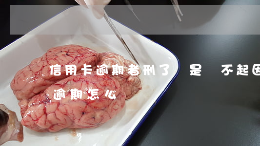 信用卡逾期者刑了還是還不起 因判刑信用卡逾期怎么辦