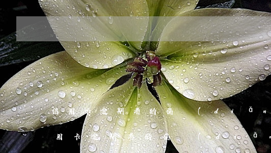 信用卡逾期者的痛點(diǎn)有哪些（信用卡逾期者的痛點(diǎn)）