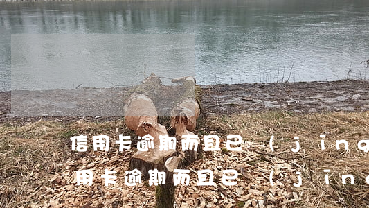 信用卡逾期而且已經(jīng)被定位(信用卡逾期而且已經(jīng)被定位了怎么辦)