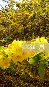 信用卡逾期耽誤出國嗎(信用卡逾期影響出國簽證嗎)