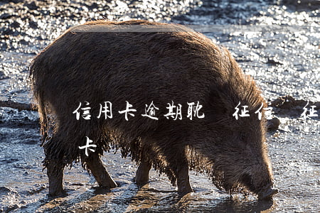 信用卡逾期耽誤征信嗎(征信逾期影響辦信用卡嗎)