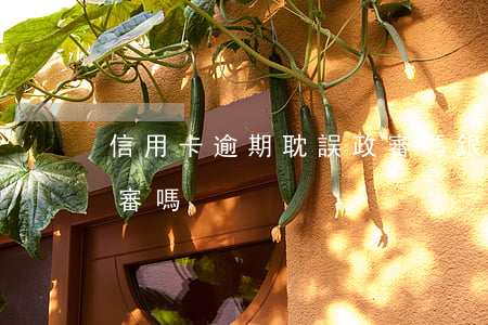 信用卡逾期耽誤政審嗎(銀行卡逾期會影響政審嗎)