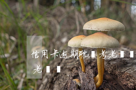 信用卡逾期耽誤考老師嗎(信用卡逾期耽誤考老師嗎)