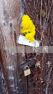 信用卡逾期联系家人工作单位合法吗-办信用卡逾期,亲属留我的电话会影响吗